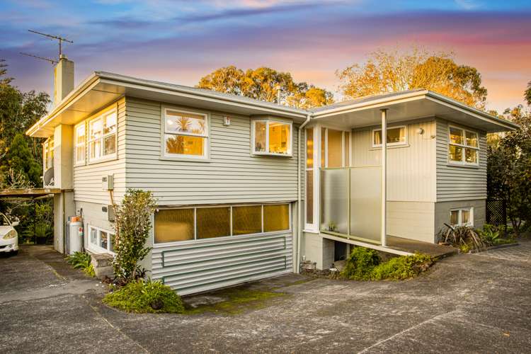 46 MacLaurin Street_0