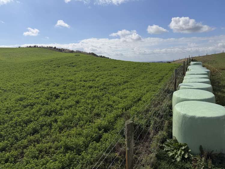 1026 Limeworks Loop Road Karamu_10