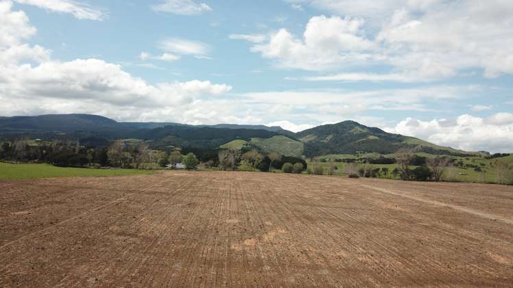 18 Mamaranui Road Dargaville Surrounds_13