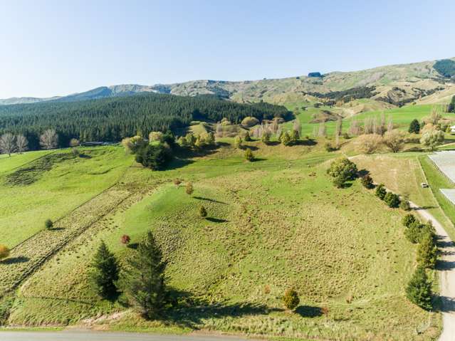 2069 Kahuranaki Road Elsthorpe_2