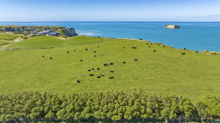 47 Lindsay Terrace Motunau_25