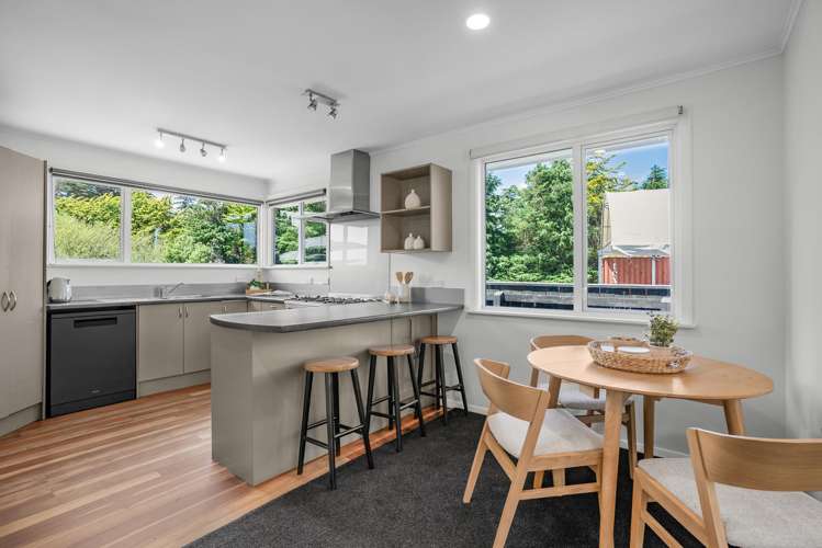 61 Black Beech Street Birchville_8