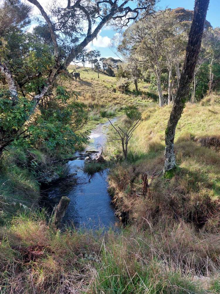 Lot 2/2084 Waiare Road_5