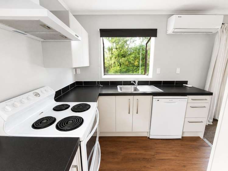 27A Vernon Avenue Takaro_6