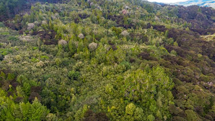 322 Kawakawa-Orere Road Kawakawa Bay_5