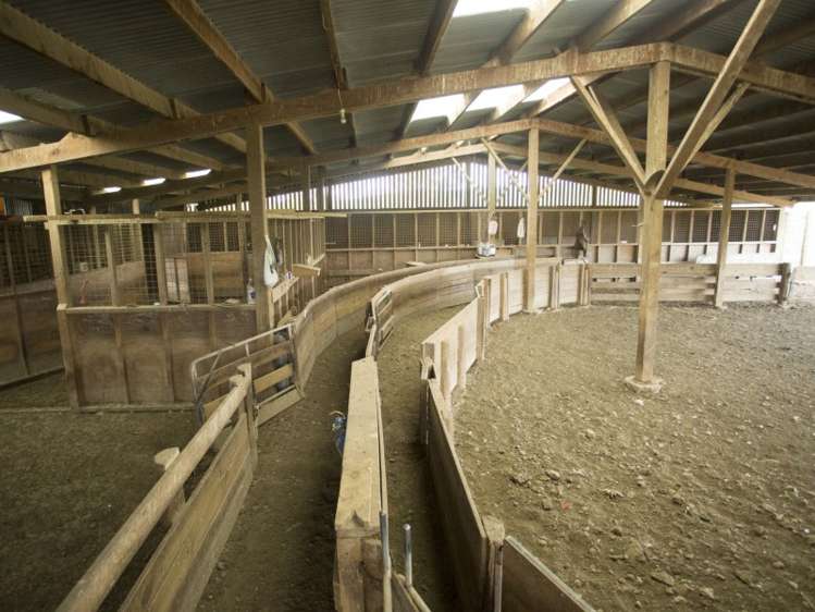 171 Monavale Road Albury_6