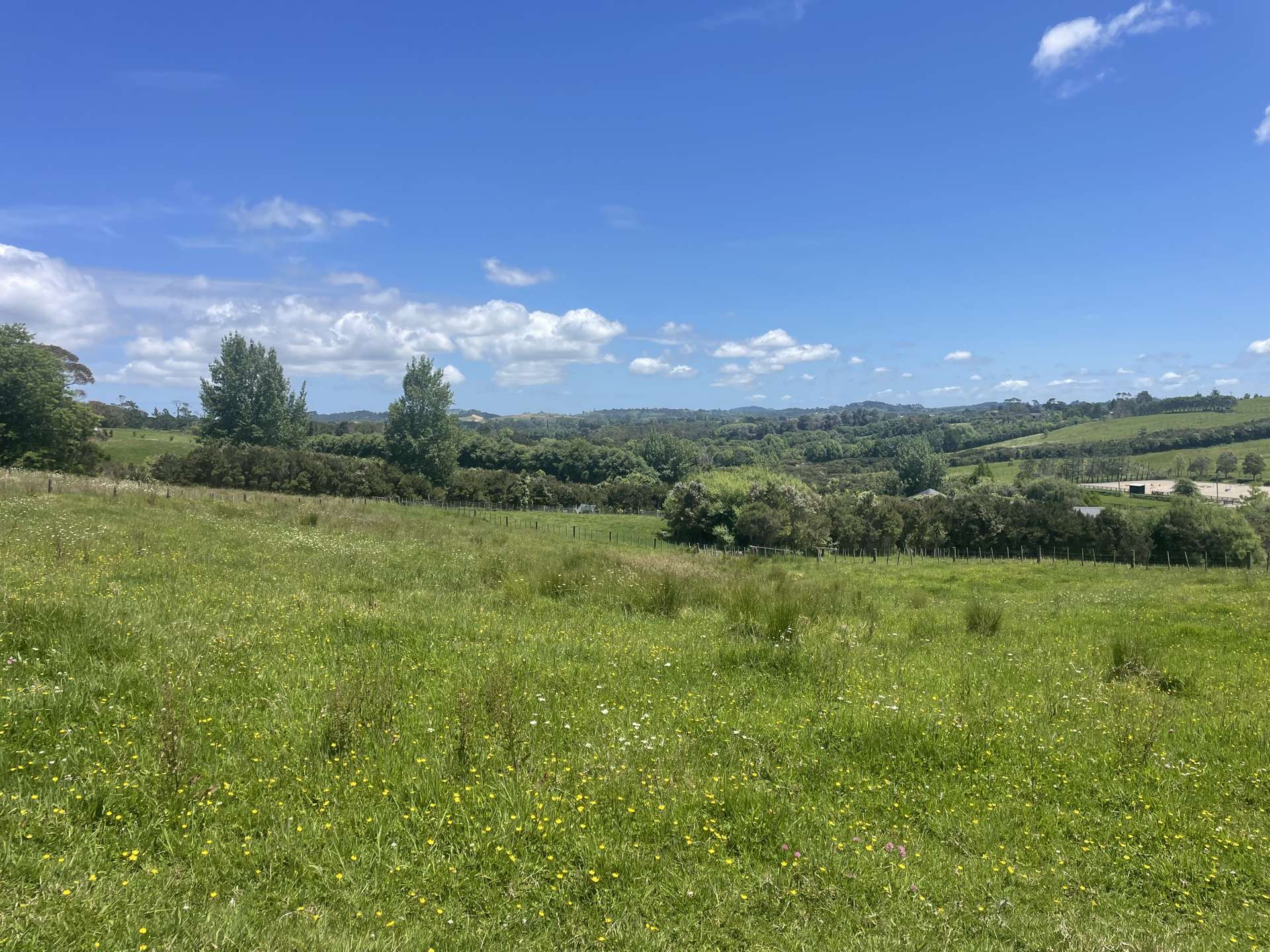 63 Follies Way Dairy Flat_0