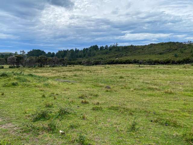 Lot 3/161 Wharariki Road Puponga_1