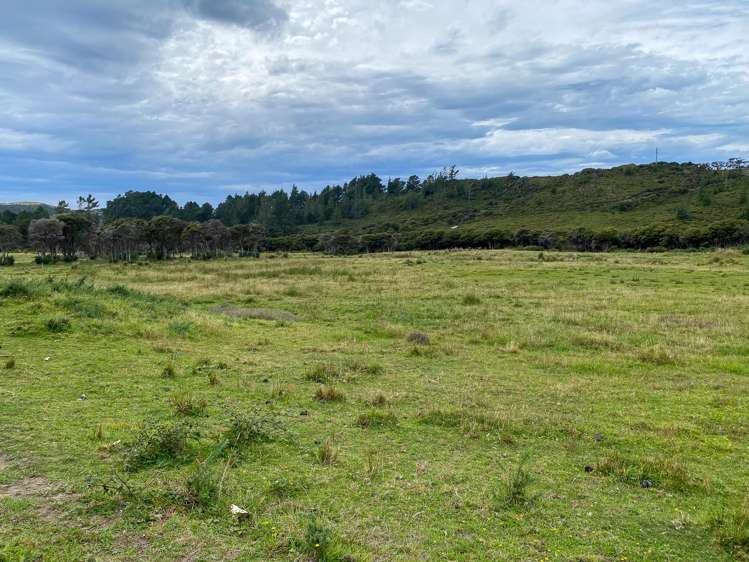 Lot 3/161 Wharariki Road Puponga_1