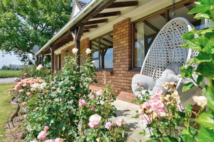 294 Sheddan Road Tapanui_21