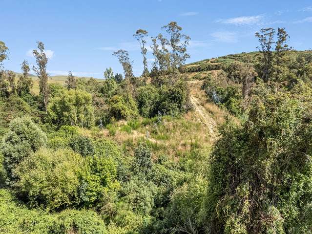 2705 Waikouaiti-Waitati Road Waikouaiti_2