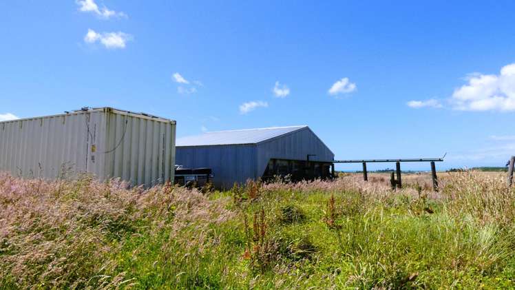 2/1054 Wilsons Lead Road Cape Foulwind_15