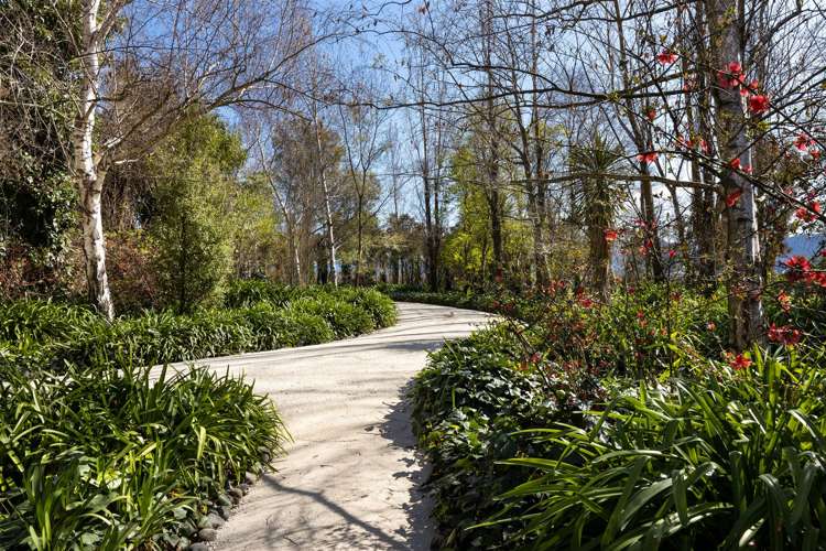 115 Matthews Lane Rapaura_20