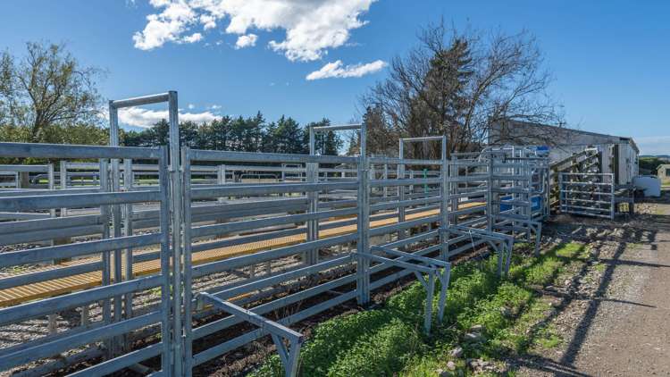 375 Stonyflat Road Loburn_22