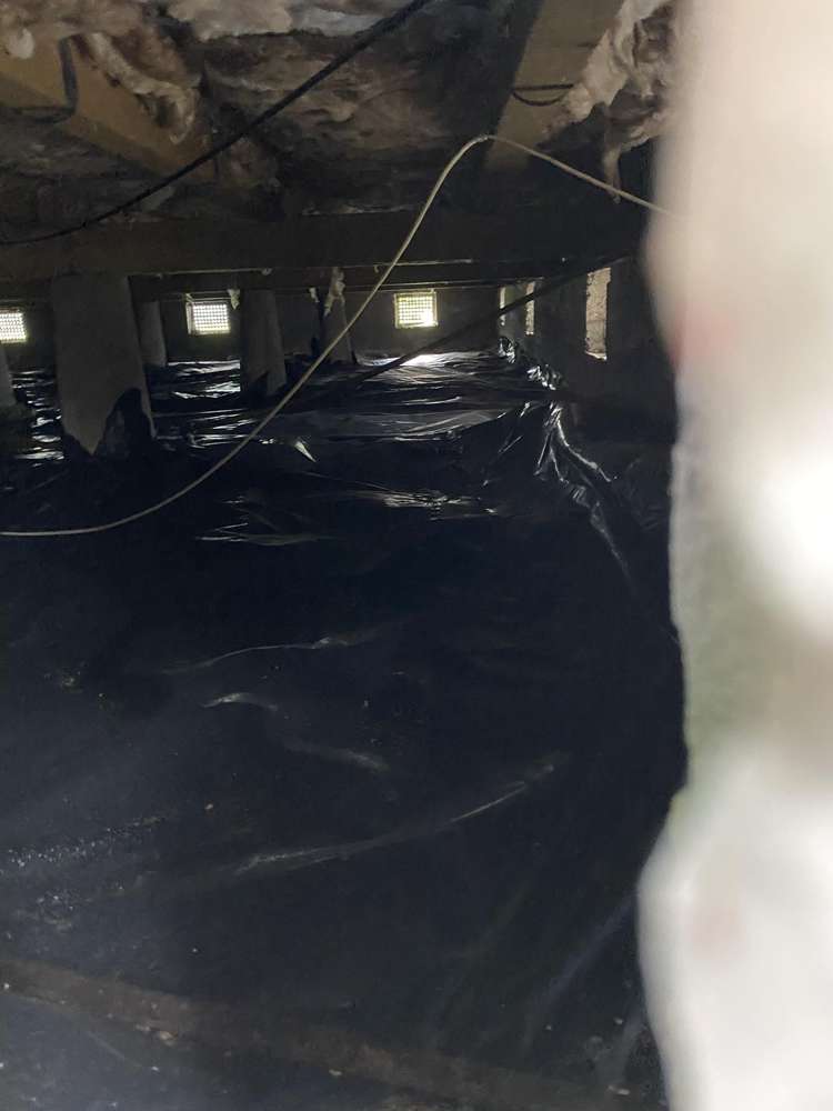 38 Monro Street Cobden_22