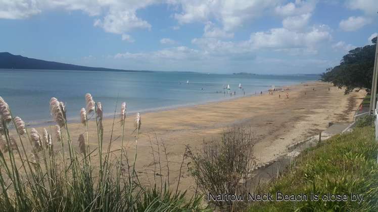 5 Niccol Avenue Narrow Neck_43