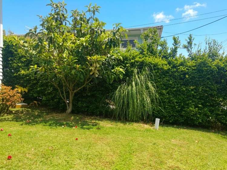 31A Trinidad Road Sunnynook_13