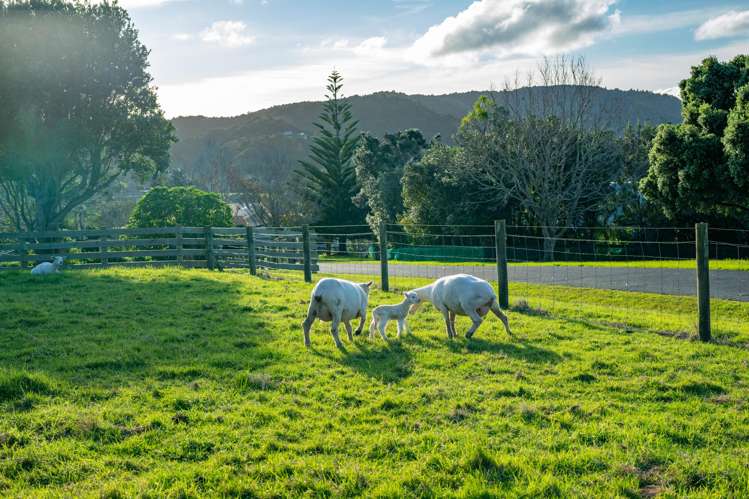 30/71 Manganese Point Road Tamaterau_25