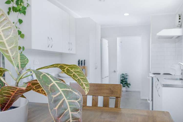 83 Peacockes Road Fitzroy_9