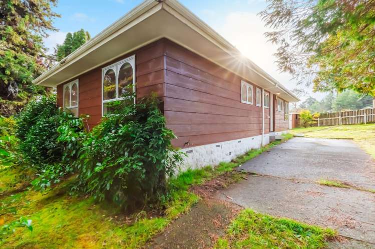 15 Falkner Park Taumarunui_13