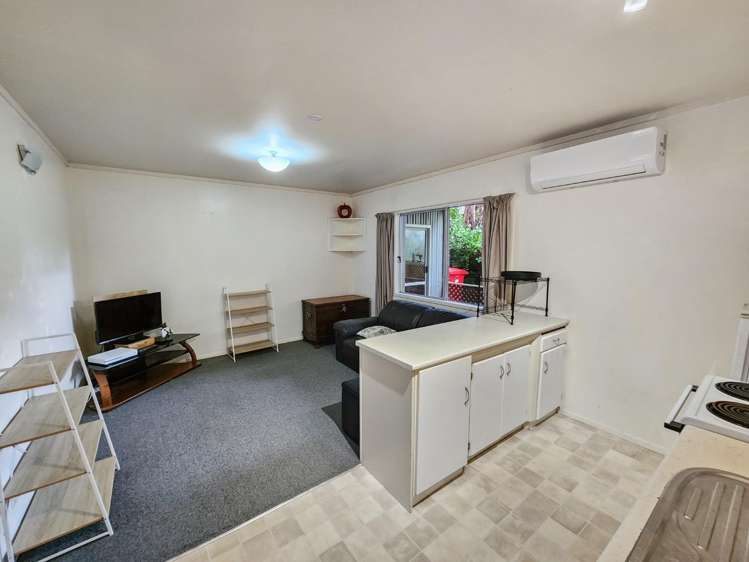 102 Pinehaven Road 1337_5