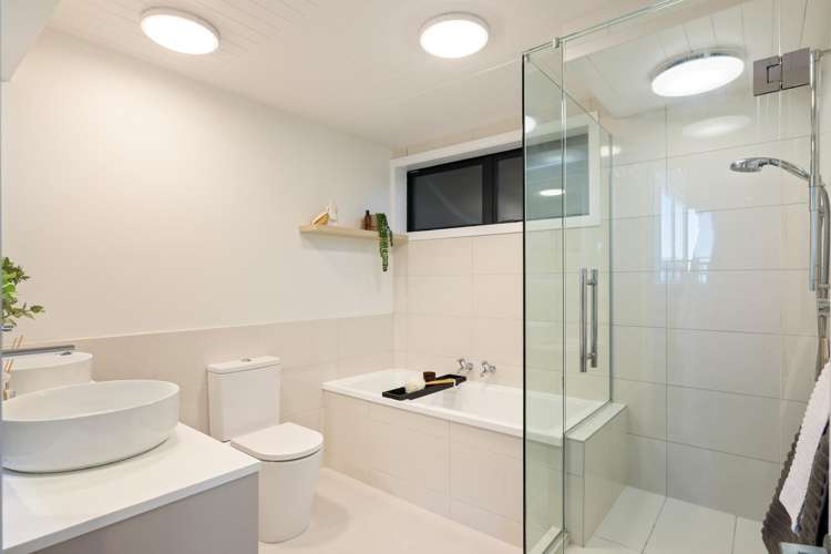 10 Hobday Lane Mount Pleasant_13