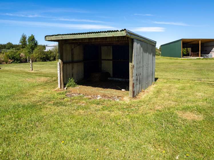 36 Cracroft Street Hinds_5