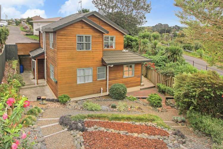 15a Queenstown Road Hillsborough_1