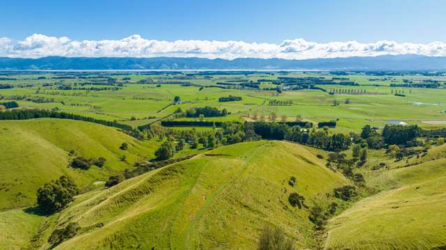 Lake Ferry Road Martinborough_2