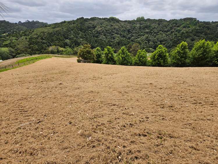 48 Mccathie Road Puhoi_19