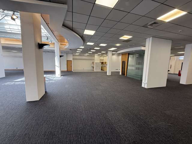 1 Grey Street Tauranga_3