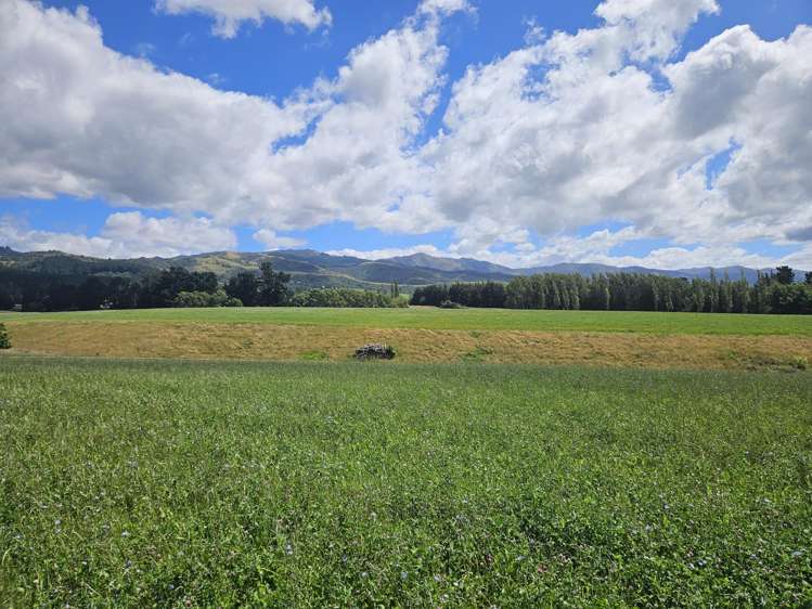 Lot 2 Brownleas Road Waimate_8