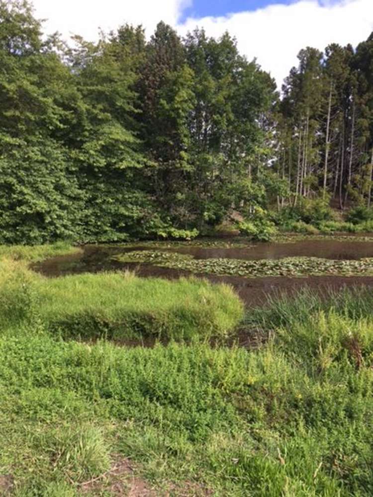 19a Jon Roe Drive Whatawhata_2