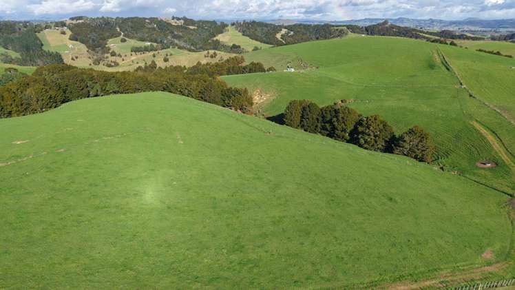 256 McIntyre Road Oromahoe_13