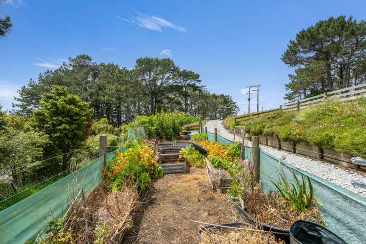 309 Opanake Road Dargaville_29