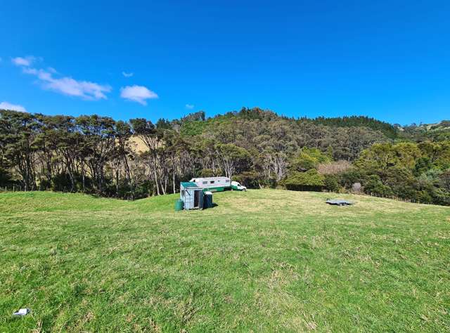 110 Wood Road, Colville Coromandel_4