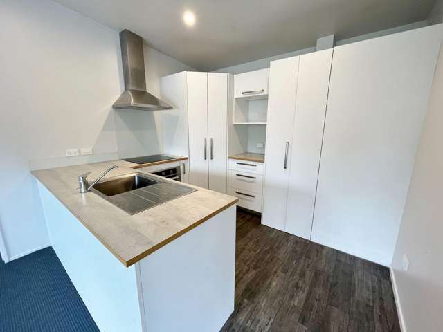 17a McLellan Pl Ilam_1