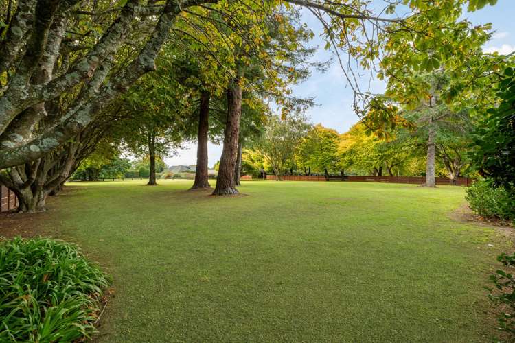 1/59c Western Ave Omokoroa Beach_6