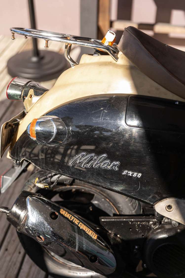 12 Palm Grove Waihi Beach_35