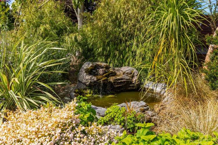 56 Thomsons Ford Road Rapaura_12