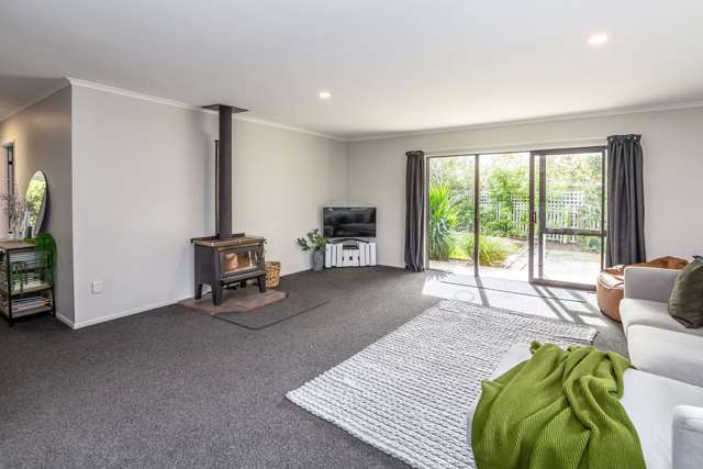 34a Mcmaster Street Greytown_3