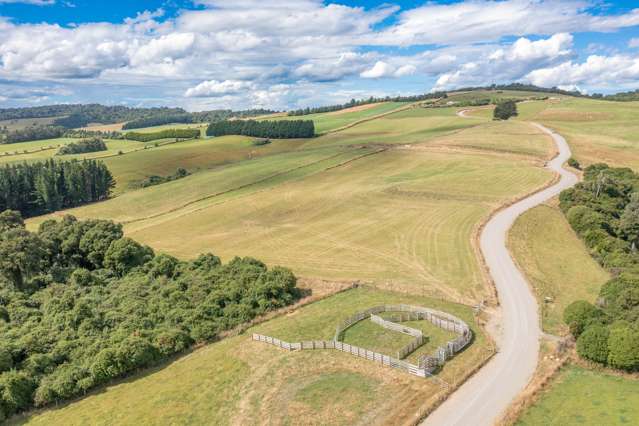 10 Kahikatea Drive Gore Surrounds_2