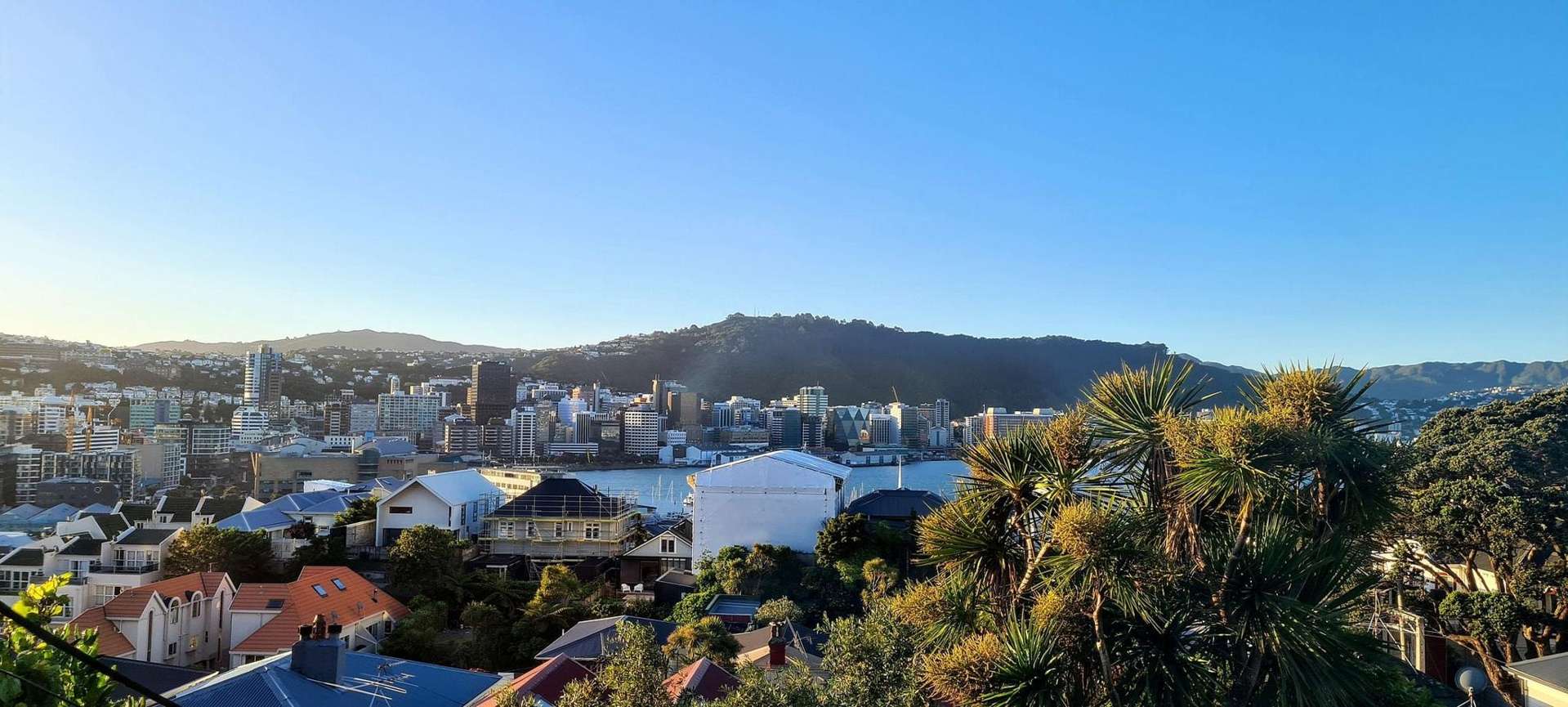 7 McIntyre Avenue Mount Victoria_0