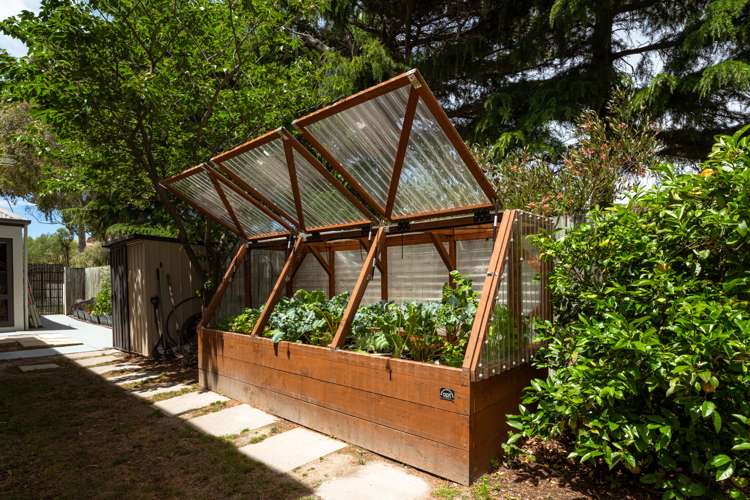 236 Weld Street Witherlea_21