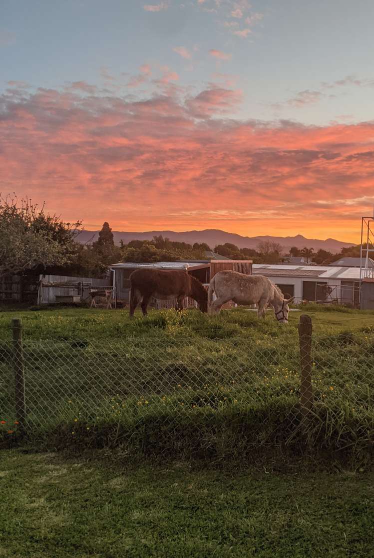 57 Union Street Waihi_19