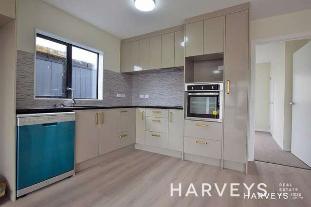 12 Pleasant Road Glen Eden_2