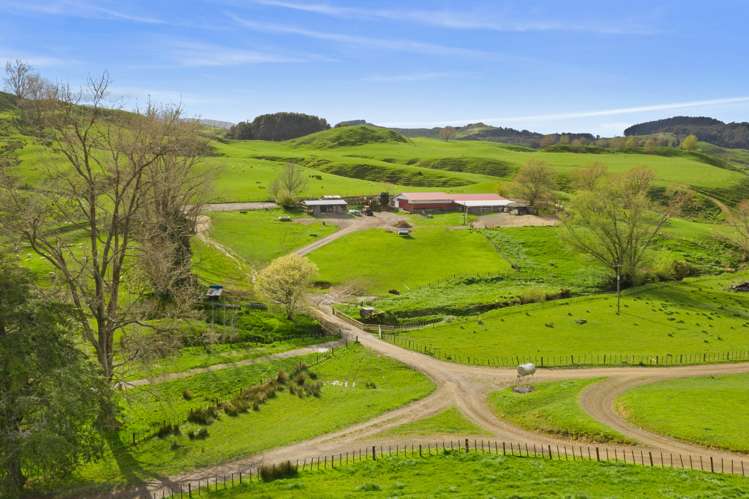 486 Ngatarawa Road Mahoenui_12
