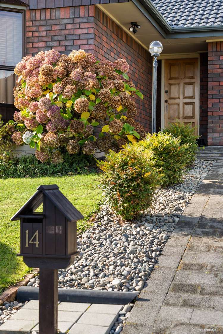 14 Manutara Avenue Forrest Hill_18