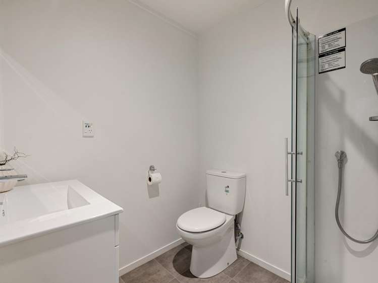 83 Pembroke Street Hamilton Lake_18