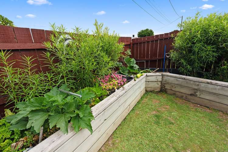 2/2 Law Street Torbay_18